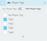 PlayerTags